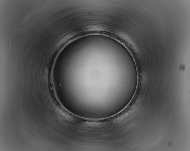 X0000101480825200807141412
