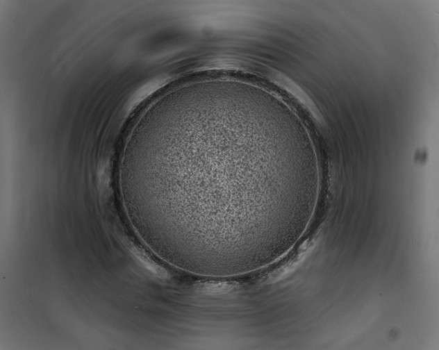 X0000101480826200807141412