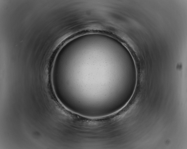 X0000101480829200807141412