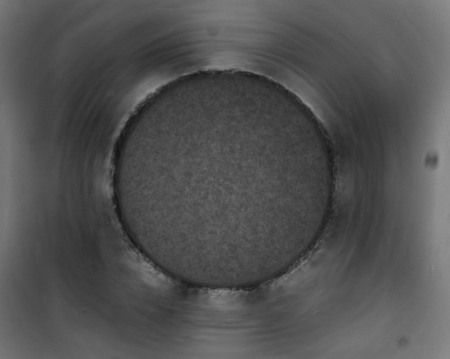 X0000101480832200807141413