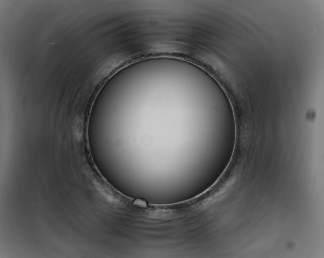 X0000101480833200807141413
