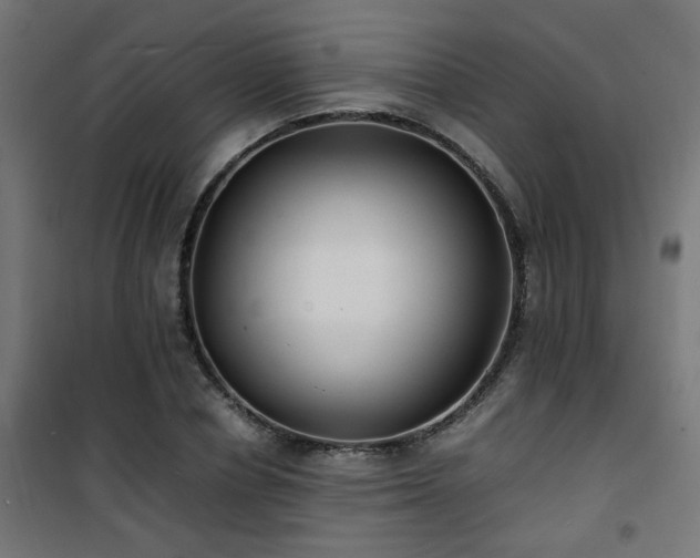 X0000101480834200807141413