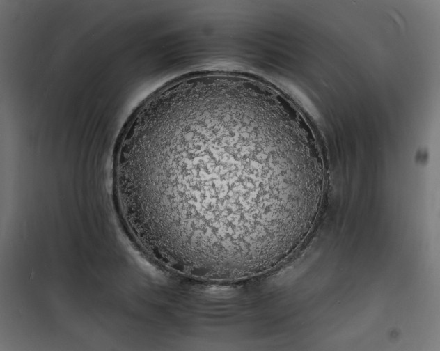 X0000101480839200807141413