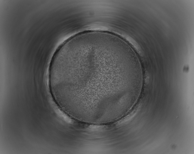 X0000101480840200807141413