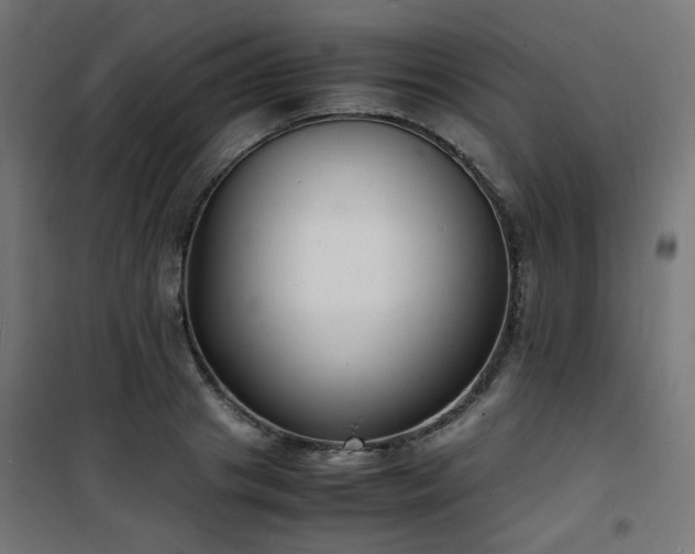 X0000101480841200807141413