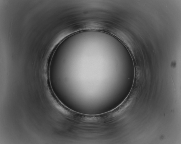 X0000101480843200807141413