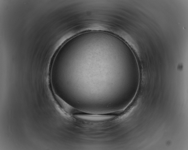 X0000101480845200807141413