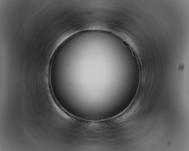 X0000101480847200807141413
