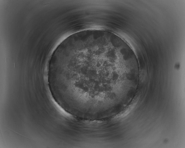 X0000101480851200807141413