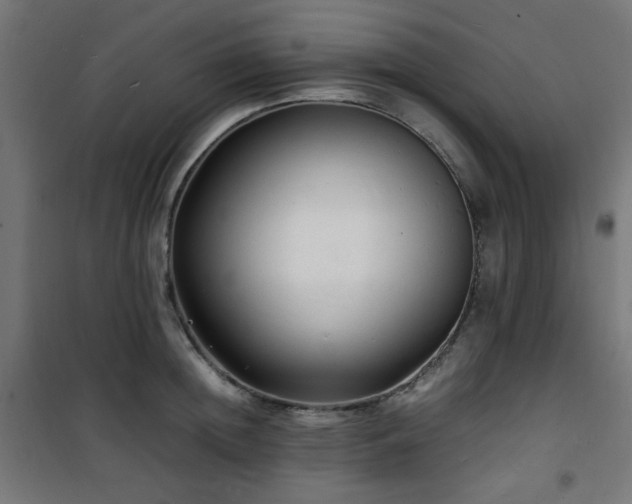 X0000101480852200807141413