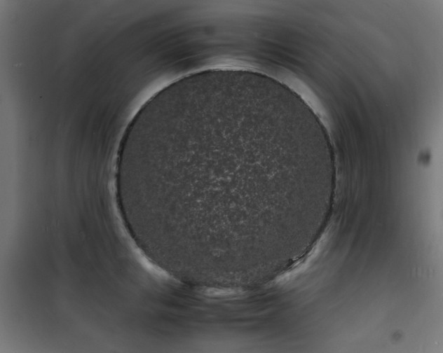 X0000101480853200807141413