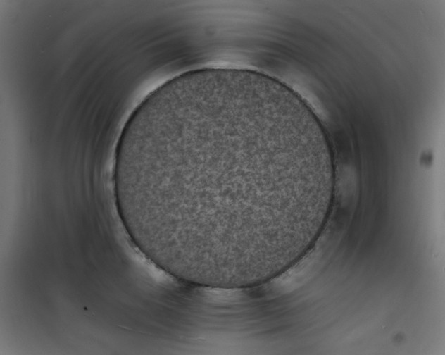 X0000101480856200807141413
