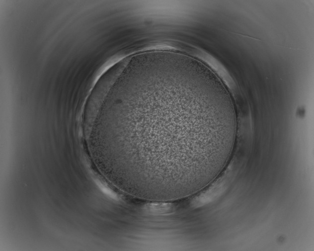 X0000101480858200807141413