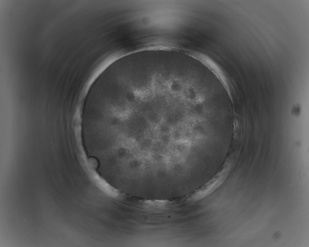 X0000101480859200807141413