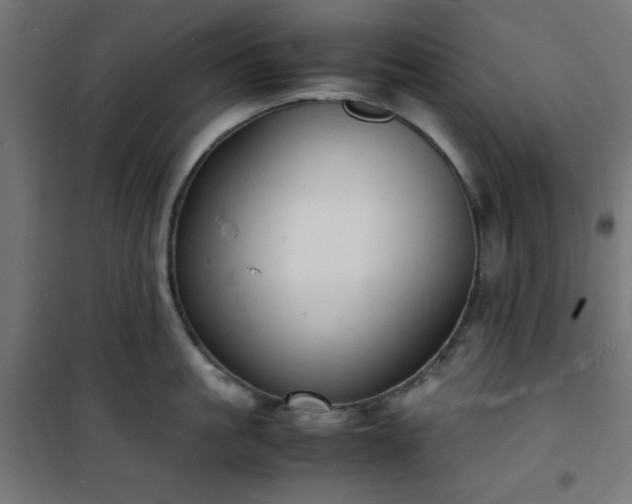 X0000101480861200807141413