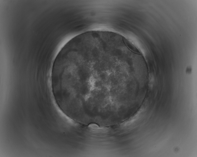 X0000101480863200807141413