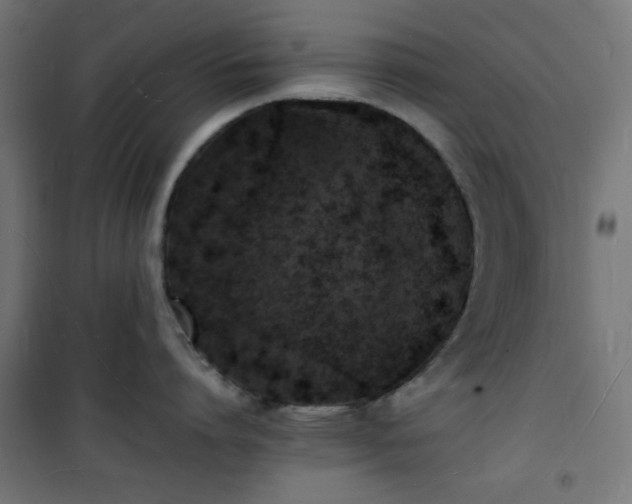 X0000101480864200807141413