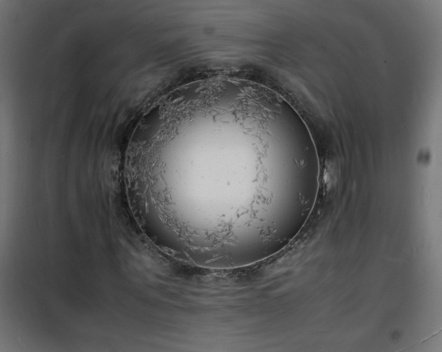 X0000101480867200807141412