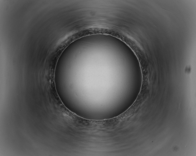 X0000101480870200807141412