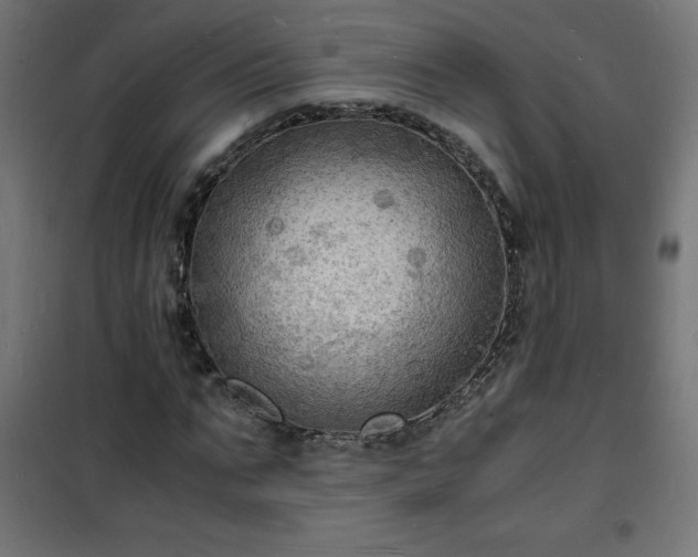 X0000101480871200807141412