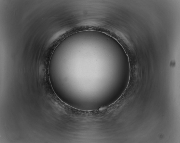 X0000101480872200807141412