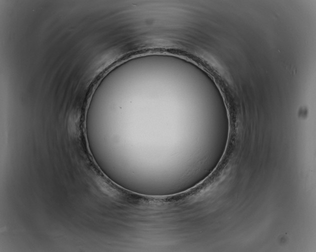 X0000101480873200807141412