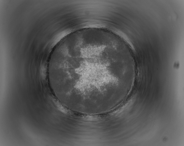 X0000101480874200807141412