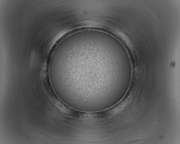 X0000101480875200807141412