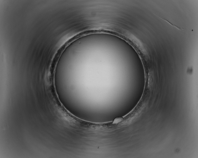 X0000101480876200807141412