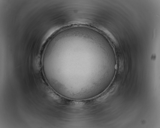 X0000101480878200807141412