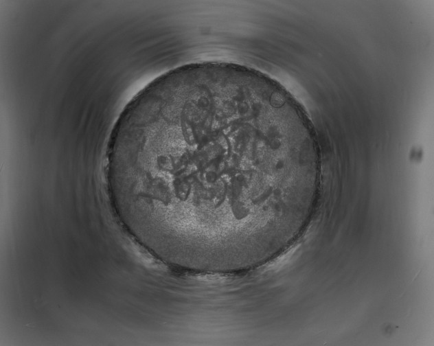 X0000101480879200807141412