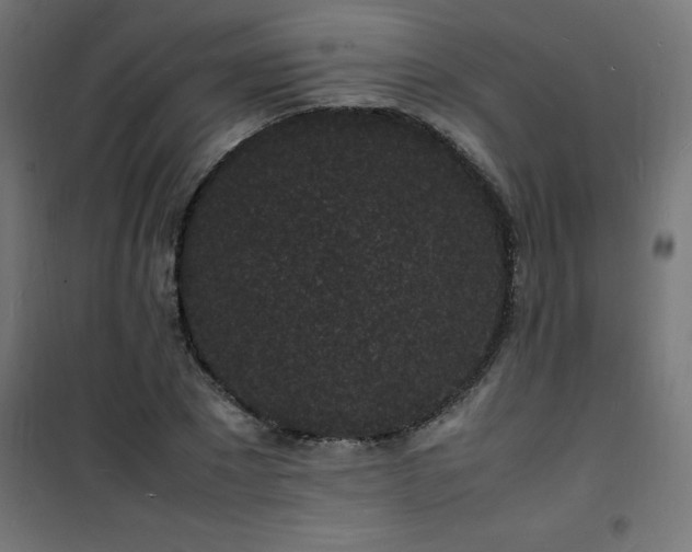 X0000101480881200807141412