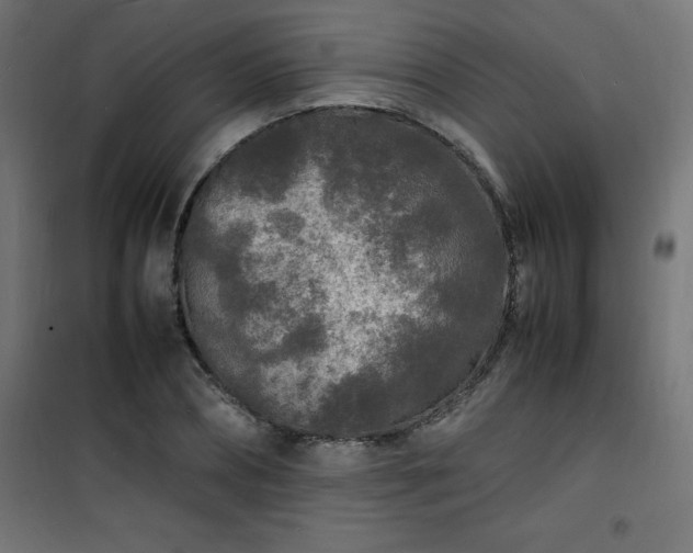 X0000101480882200807141412