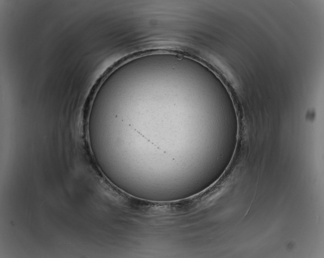 X0000101480883200807141412