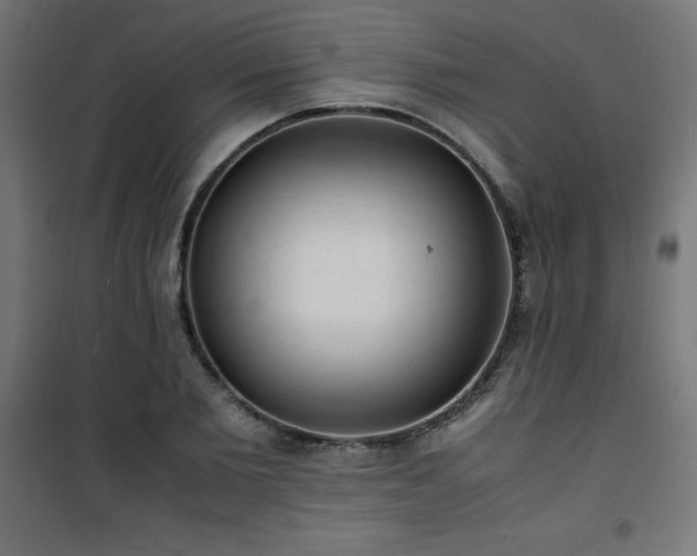 X0000101480885200807141412