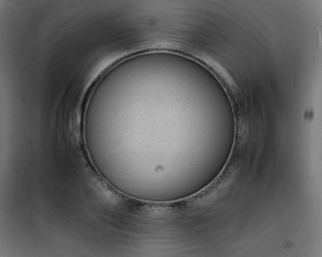 X0000101480886200807141412