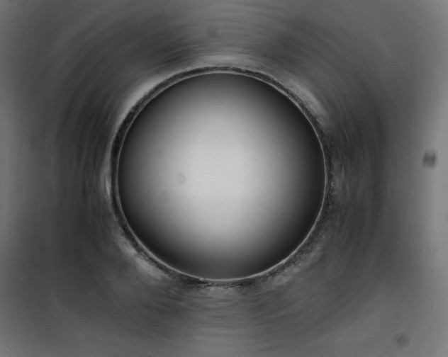 X0000101480888200807141412