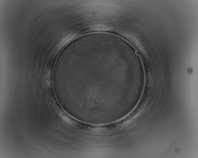 X0000101480889200807141412