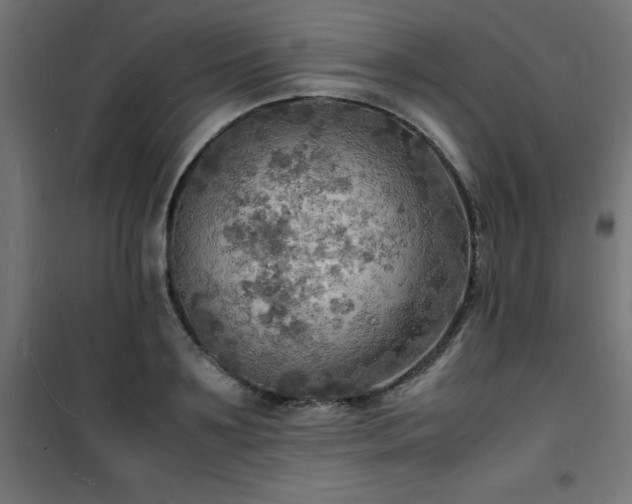 X0000101480891200807141412