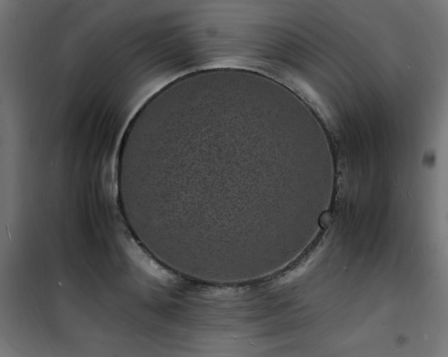 X0000101480892200807141412