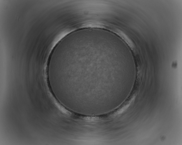 X0000101480893200807141412