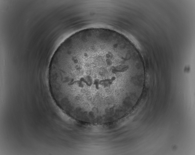 X0000101480895200807141412