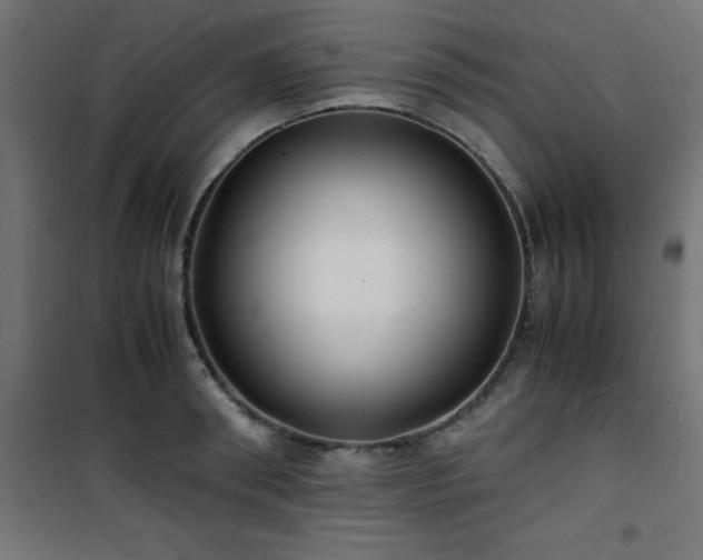X0000101480898200807141412