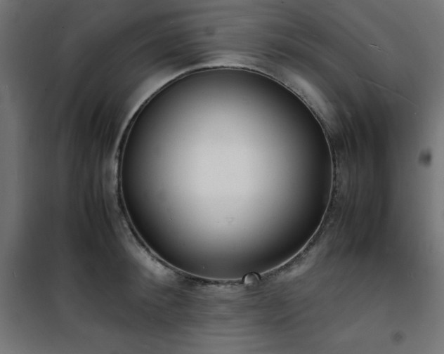 X0000101480900200807141412