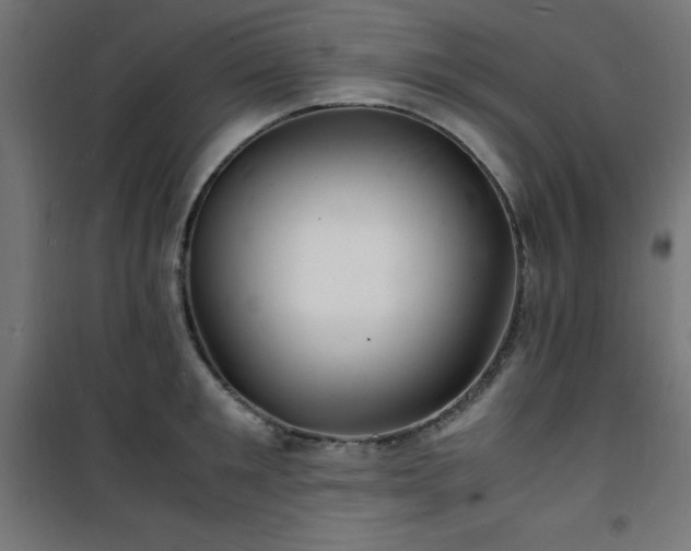 X0000101480901200807141412