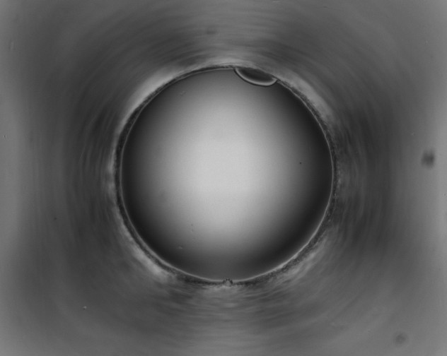 X0000101480902200807141412
