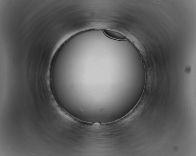 X0000101480904200807141412