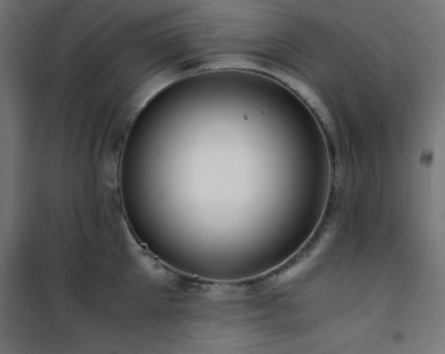 X0000101480905200807141412