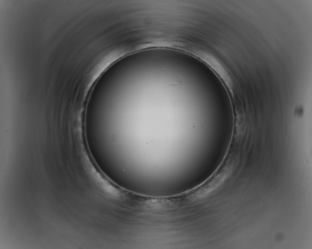 X0000101480906200807141412