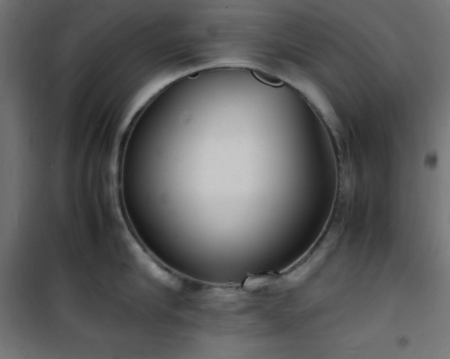 X0000101480910200807141412